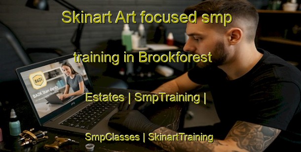Skinart Art-focused smp training in Brookforest Estates | SmpTraining | SmpClasses | SkinartTraining-United States